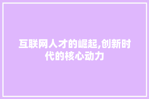 互联网人才的崛起,创新时代的核心动力 神马SEO