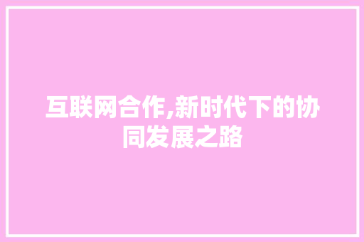 互联网合作,新时代下的协同发展之路