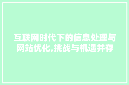 互联网时代下的信息处理与网站优化,挑战与机遇并存 SEO关键词