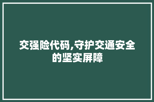 交强险代码,守护交通安全的坚实屏障 搜狗SEO