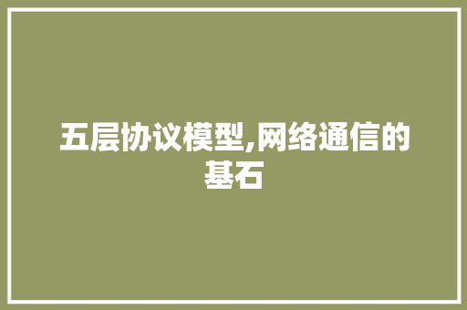 五层协议模型,网络通信的基石