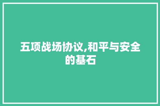 五项战场协议,和平与安全的基石 百度SEO