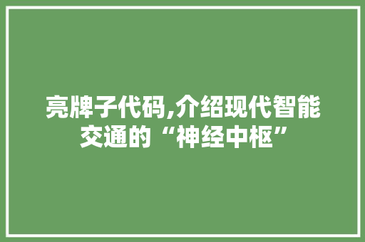 亮牌子代码,介绍现代智能交通的“神经中枢” 网站建设公司