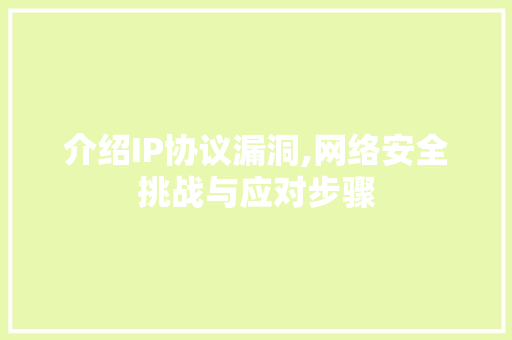 介绍IP协议漏洞,网络安全挑战与应对步骤 网站建设公司