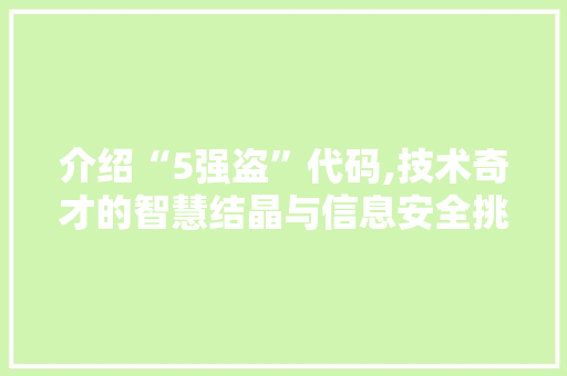 介绍“5强盗”代码,技术奇才的智慧结晶与信息安全挑战
