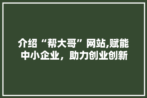 介绍“帮大哥”网站,赋能中小企业，助力创业创新 必应SEO