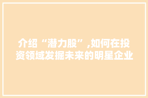 介绍“潜力股”,如何在投资领域发掘未来的明星企业