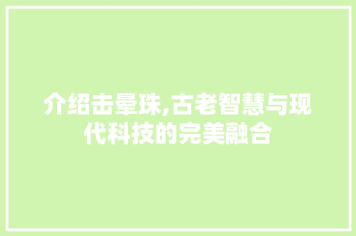 介绍击晕珠,古老智慧与现代科技的完美融合