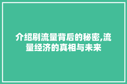 介绍刷流量背后的秘密,流量经济的真相与未来