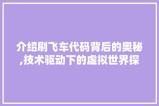 介绍刷飞车代码背后的奥秘,技术驱动下的虚拟世界探索