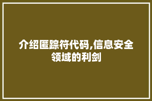 介绍匿踪符代码,信息安全领域的利剑