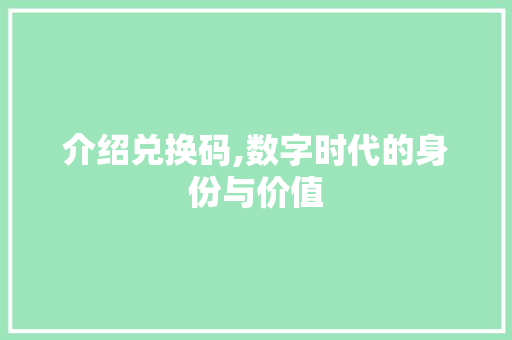 介绍兑换码,数字时代的身份与价值 必应SEO