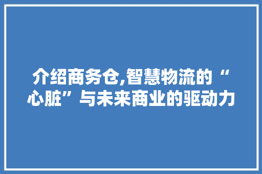 介绍商务仓,智慧物流的“心脏”与未来商业的驱动力 必应SEO