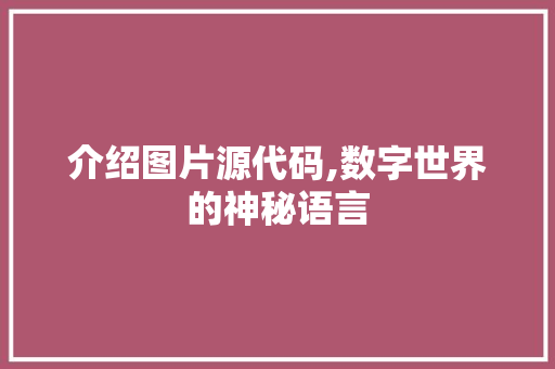 介绍图片源代码,数字世界的神秘语言 必应SEO