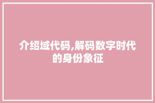介绍域代码,解码数字时代的身份象征