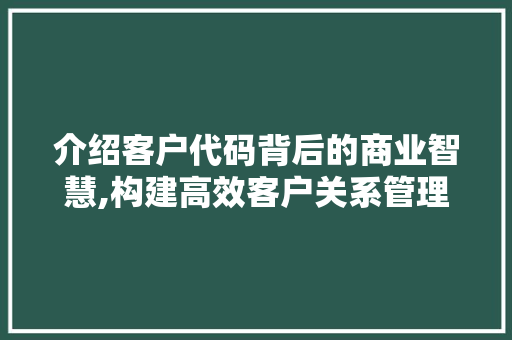 介绍客户代码背后的商业智慧,构建高效客户关系管理之路