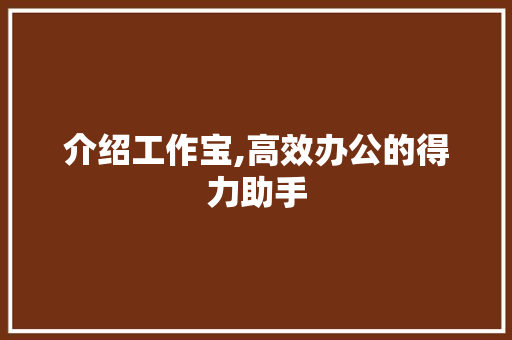 介绍工作宝,高效办公的得力助手