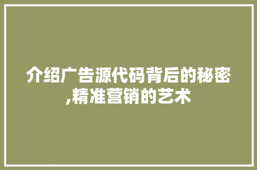 介绍广告源代码背后的秘密,精准营销的艺术