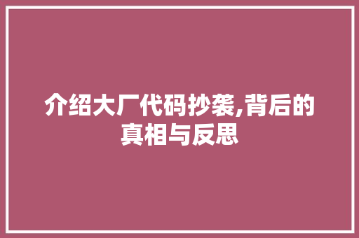 介绍大厂代码抄袭,背后的真相与反思