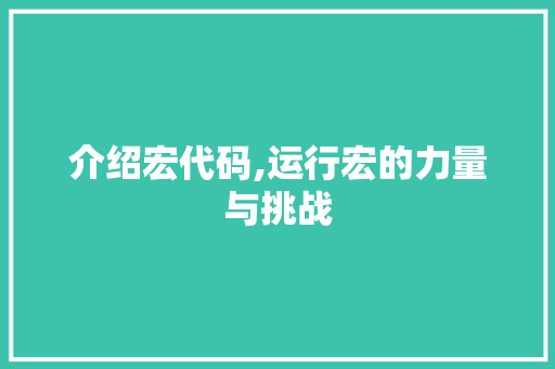 介绍宏代码,运行宏的力量与挑战 搜狗SEO