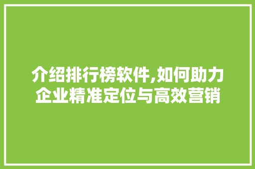 介绍排行榜软件,如何助力企业精准定位与高效营销