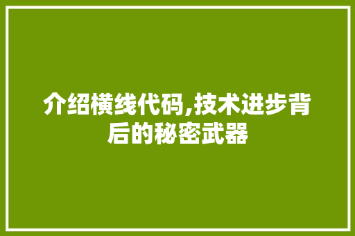 介绍横线代码,技术进步背后的秘密武器 SEO关键词