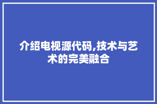 介绍电视源代码,技术与艺术的完美融合 网站建设公司