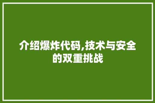 介绍爆炸代码,技术与安全的双重挑战