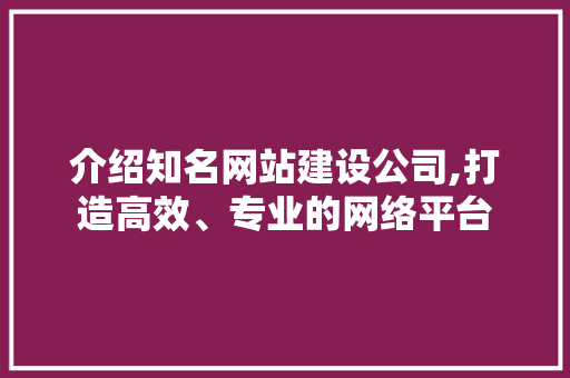 介绍知名网站建设公司,打造高效、专业的网络平台