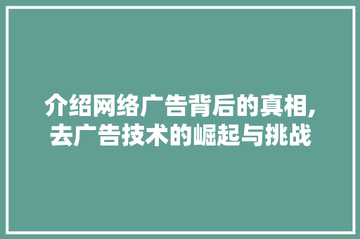 介绍网络广告背后的真相,去广告技术的崛起与挑战 搜狗SEO