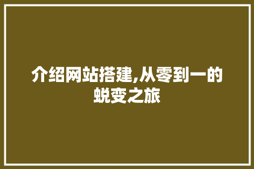 介绍网站搭建,从零到一的蜕变之旅 网站建设公司