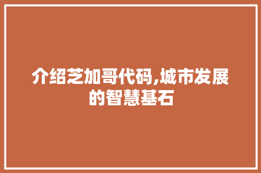 介绍芝加哥代码,城市发展的智慧基石