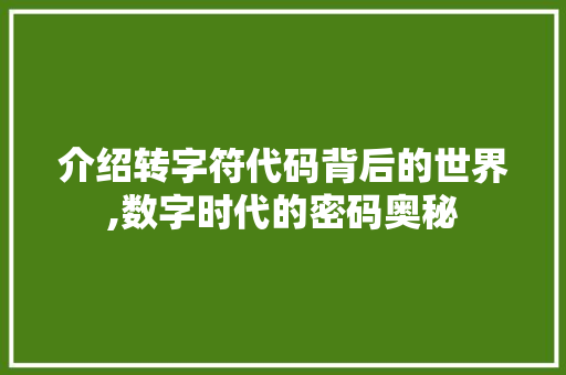 介绍转字符代码背后的世界,数字时代的密码奥秘