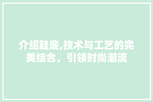 介绍鞋底,技术与工艺的完美结合，引领时尚潮流 必应SEO