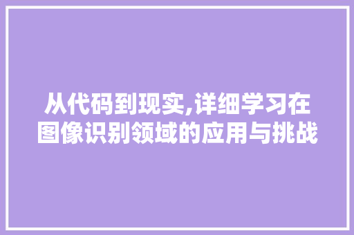 从代码到现实,详细学习在图像识别领域的应用与挑战