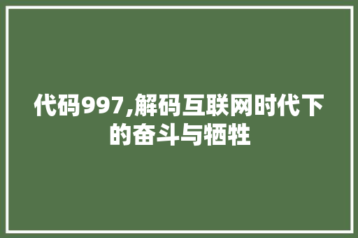 代码997,解码互联网时代下的奋斗与牺牲