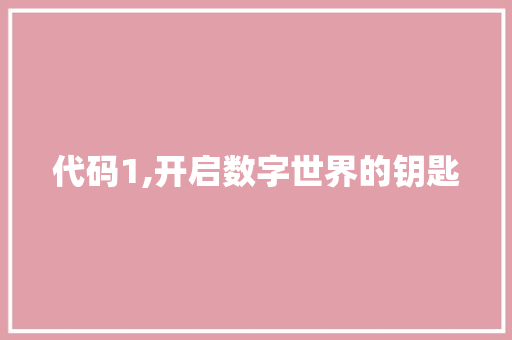 代码1,开启数字世界的钥匙
