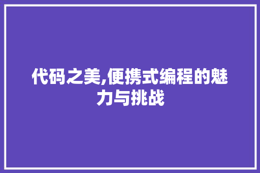 代码之美,便携式编程的魅力与挑战