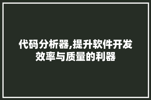 代码分析器,提升软件开发效率与质量的利器