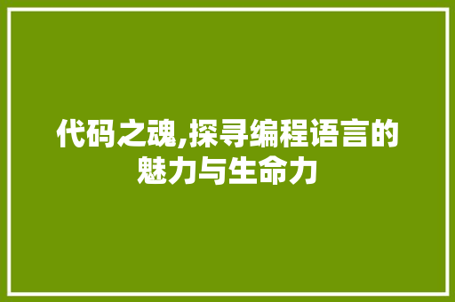 代码之魂,探寻编程语言的魅力与生命力