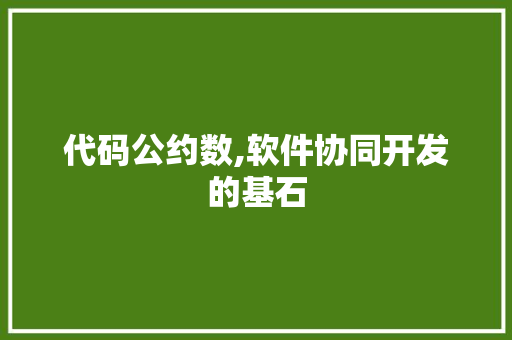 代码公约数,软件协同开发的基石