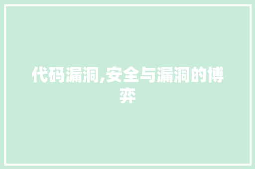 代码漏洞,安全与漏洞的博弈