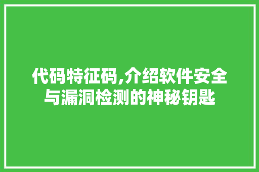 代码特征码,介绍软件安全与漏洞检测的神秘钥匙