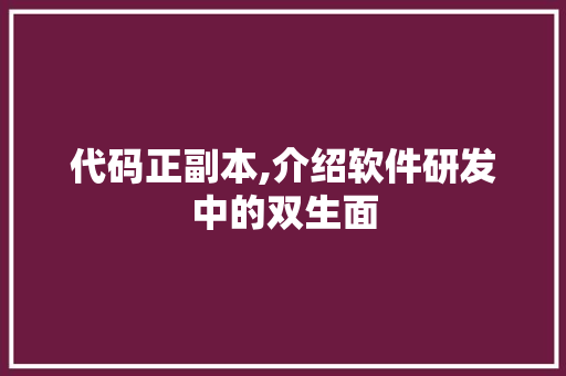 代码正副本,介绍软件研发中的双生面