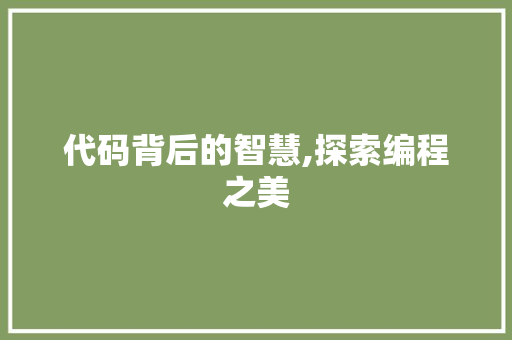代码背后的智慧,探索编程之美