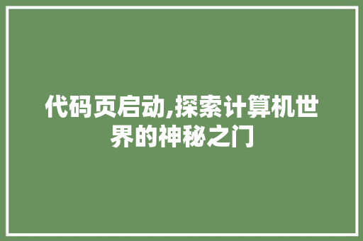 代码页启动,探索计算机世界的神秘之门 网站建设公司