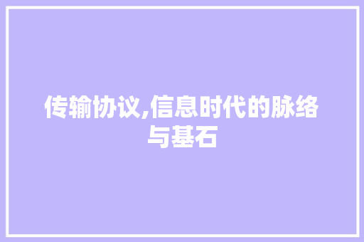 传输协议,信息时代的脉络与基石