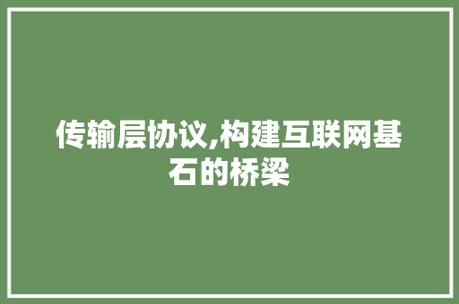 传输层协议,构建互联网基石的桥梁