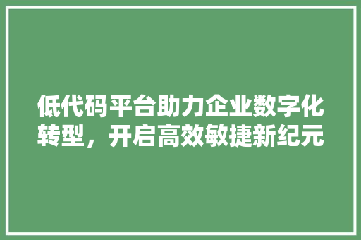 低代码平台助力企业数字化转型，开启高效敏捷新纪元 网站建设公司