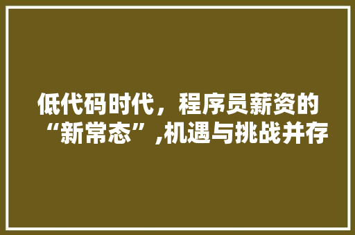 低代码时代，程序员薪资的“新常态”,机遇与挑战并存